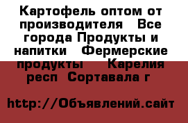 Картофель оптом от производителя - Все города Продукты и напитки » Фермерские продукты   . Карелия респ.,Сортавала г.